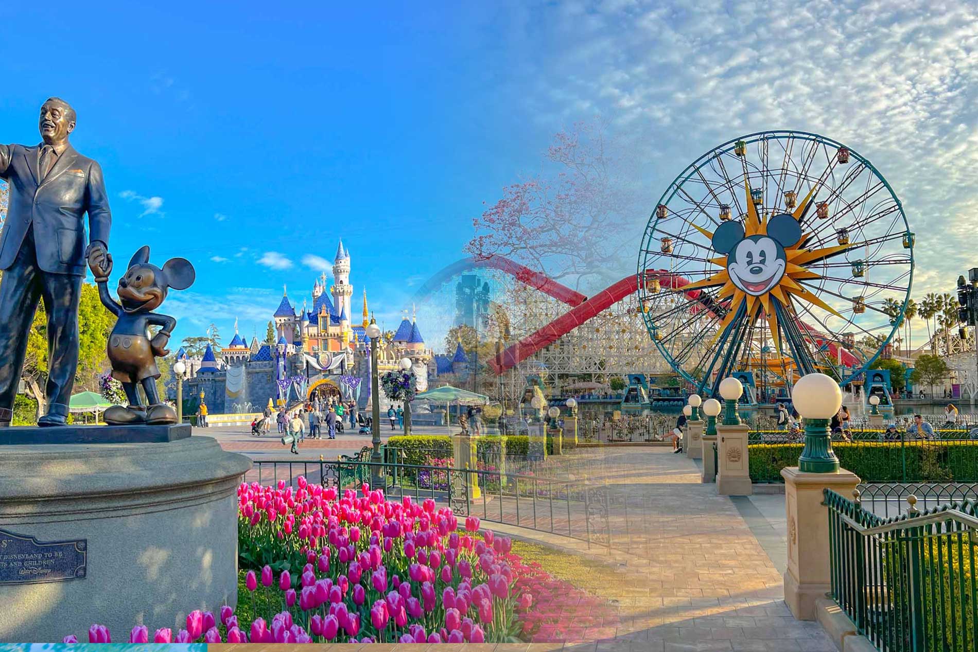 Disneyland-vacation-pillar-feature