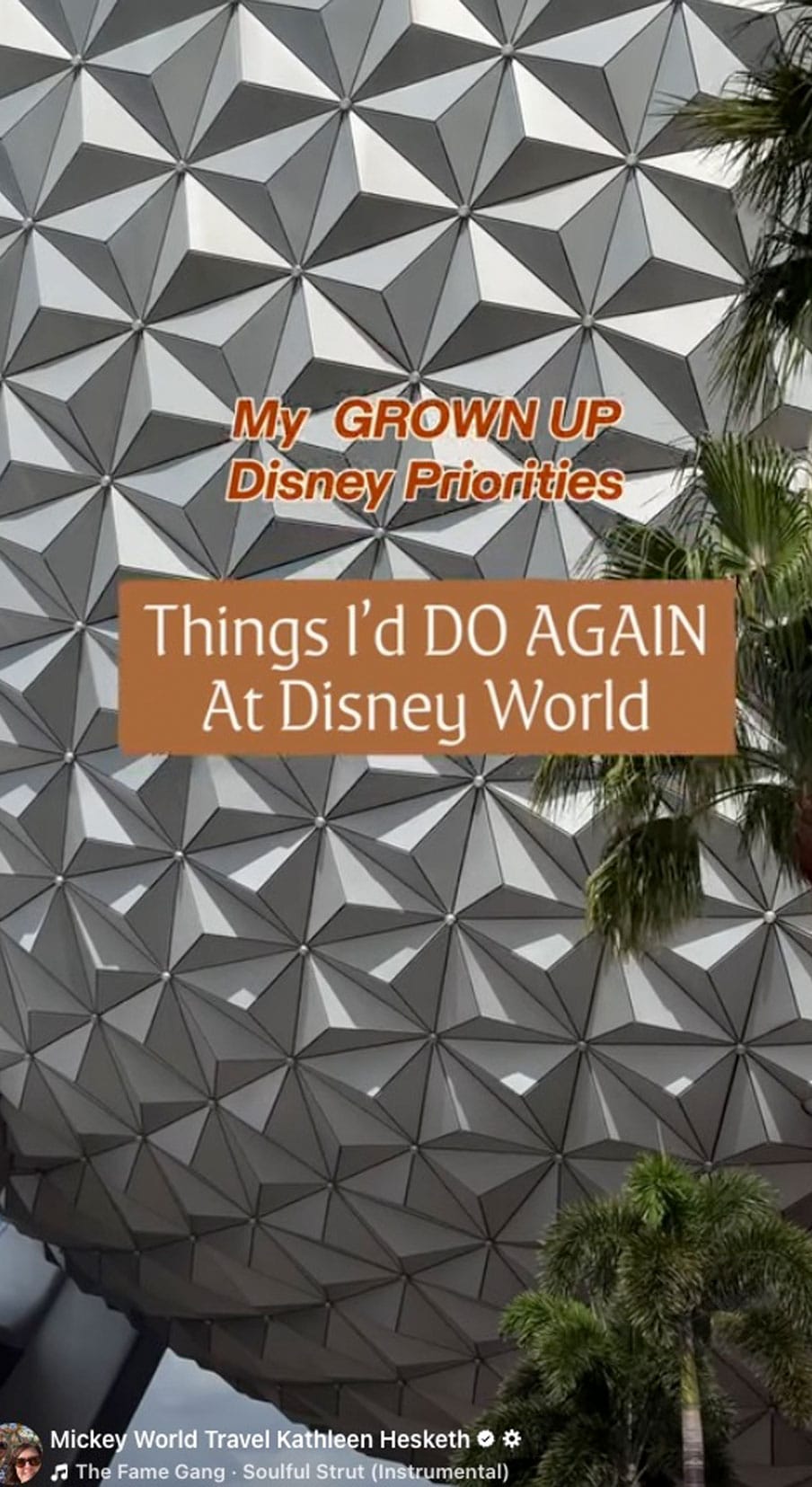 DW-grown-up-priorities-things-id-do-again