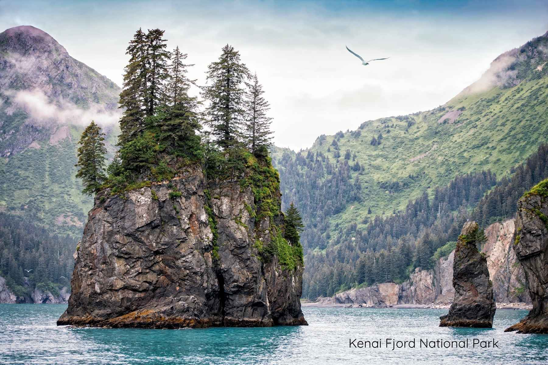 Kenai Fjord National Park weird rock