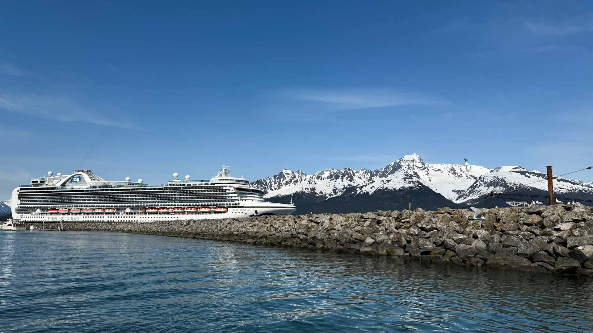 a Princess ship is docked in front of a snowy mountain backdrop on an Alaska Cruise